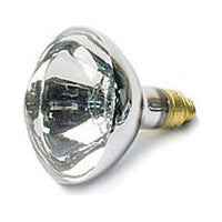 Janitorial Supplies - Disposables - Light Bulbs