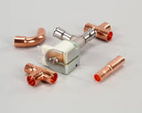 Manitowoc 000007017 230V Solenoid Valve