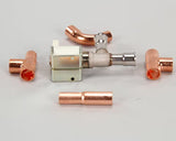 Manitowoc 000007017 230V Solenoid Valve