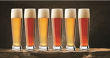 Libbey 3815 Footed Beer / Ale Glass 15-1/4 oz. - Clear - 24/Case