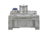AllPoints 521012 LP Gas Pressure Regulator with 3/4" NPT and 1/2 PSI