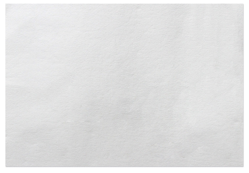 ACS A1324S5 Single Thickness Paper Filter Sheets 17-1/2" x 24" - for Pitco/Frialator - 100/Pack