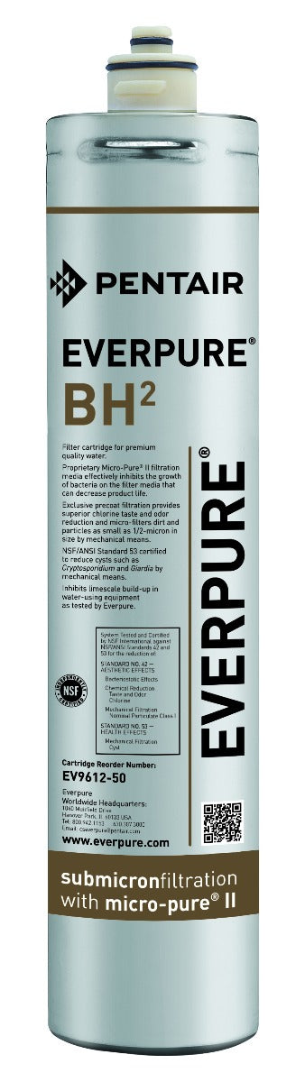 Everpure EV9612-50 BH2 Replacement Water Filter Cartridge - .5 Micron and .5 GPM