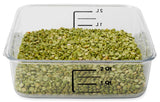 Rubbermaid FG630200CLR Space Saving Polycarbonate Square Food Storage Container 2 Qt. - Clear